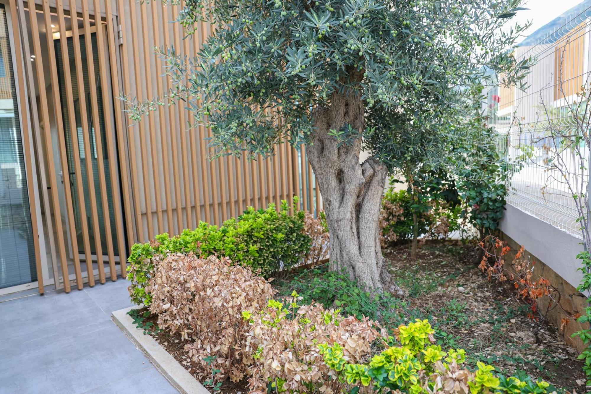 Green Coast Resort & Residences 94 بالاسي المظهر الخارجي الصورة